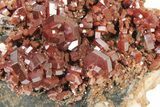 Deep Red Vanadinite Crystals on Barite - Morocco #231838-3